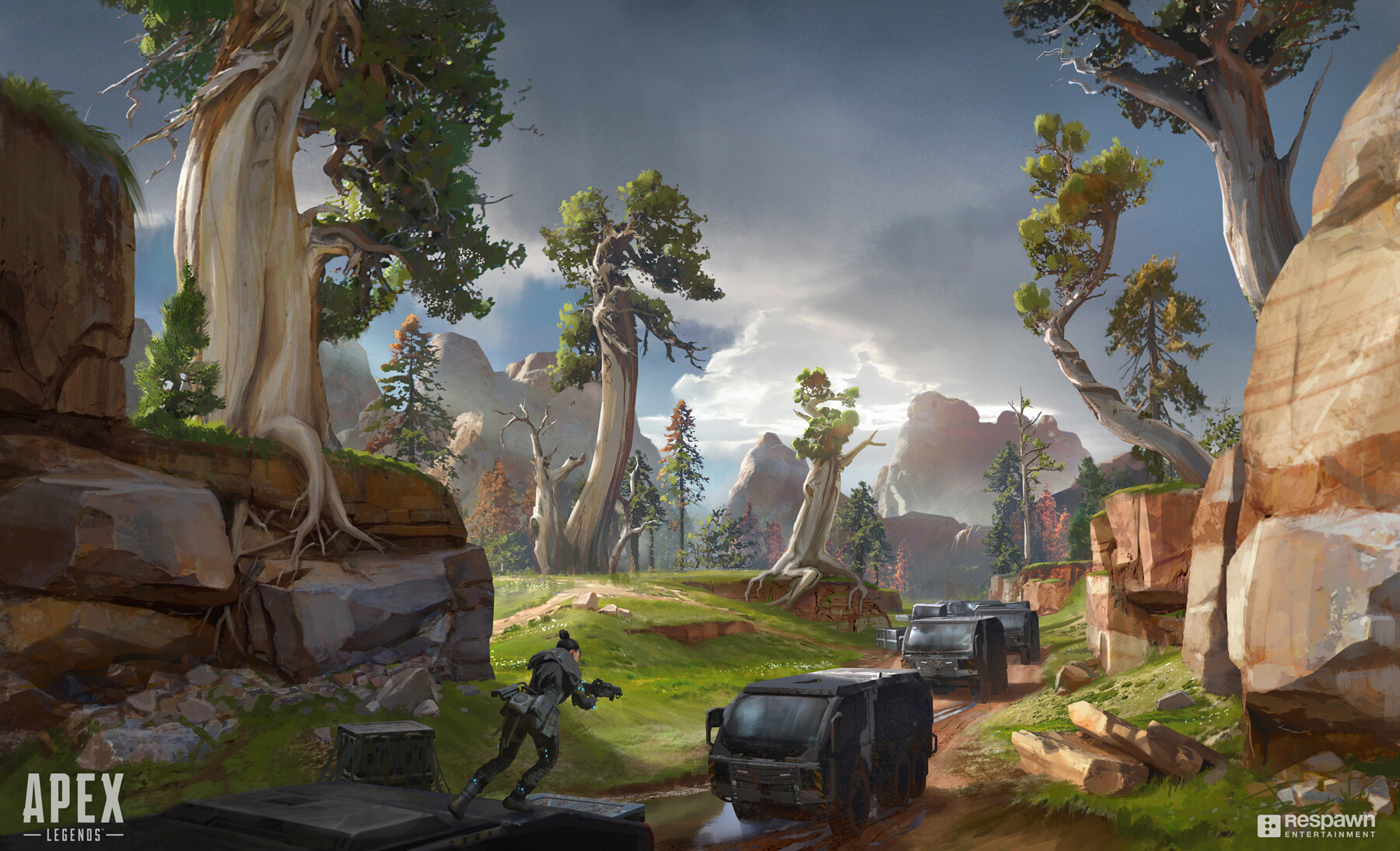 己的媒体影 己的媒体影